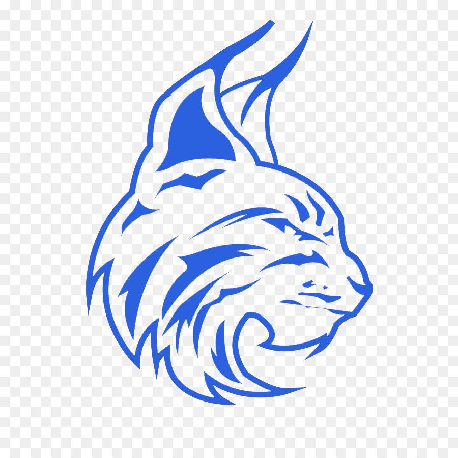 Gato Azul，Animal PNG