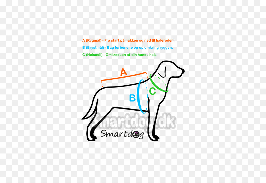 Raza De Perro，Cachorro PNG