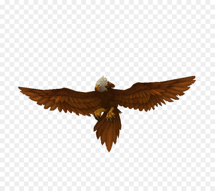 águila，Pico PNG