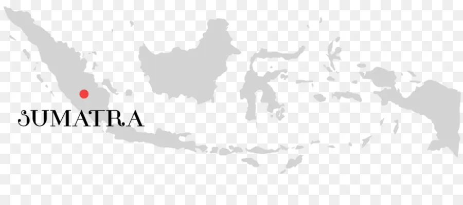 Indonesia，Mapa Del Vector PNG