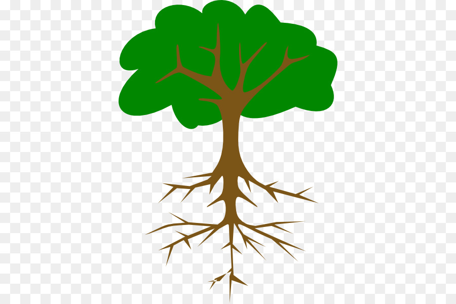 Árbol Con Raíces，Crecimiento PNG