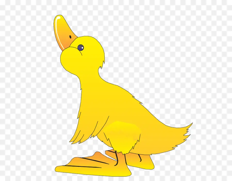 Pájaro Amarillo，Pájaro PNG