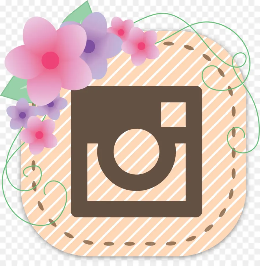 Icono De Instagram，Redes Sociales PNG