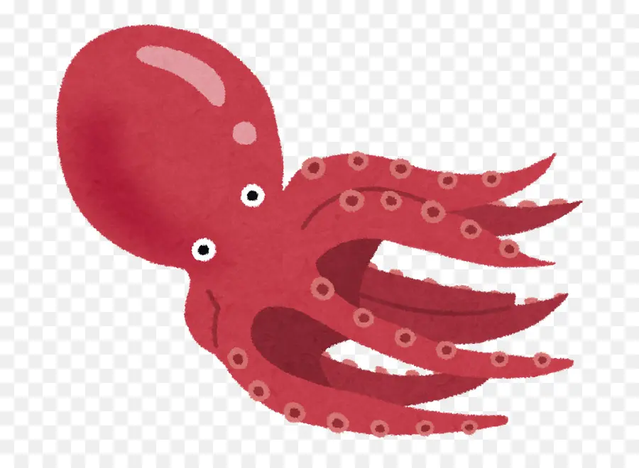 Pulpo，Rojo PNG