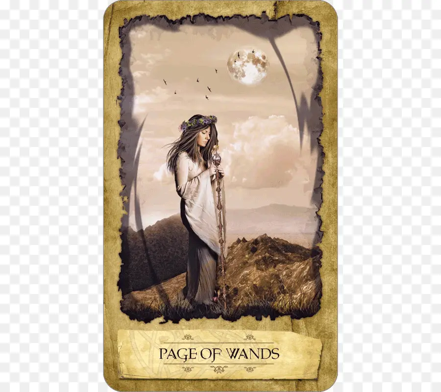 Mystic Soñador Tarot，Tarot PNG