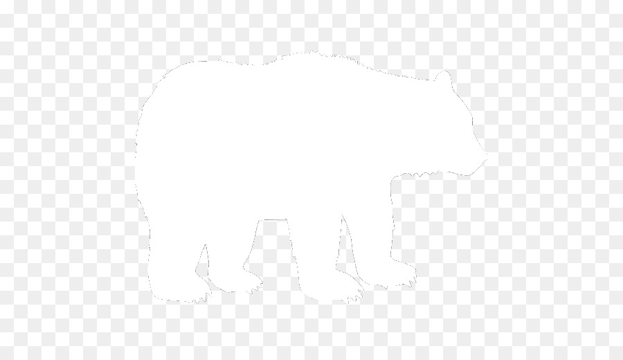 Oso，Gato PNG