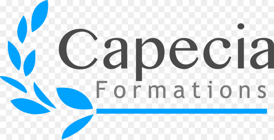 Capecia Formaciones，Formación Profesional PNG