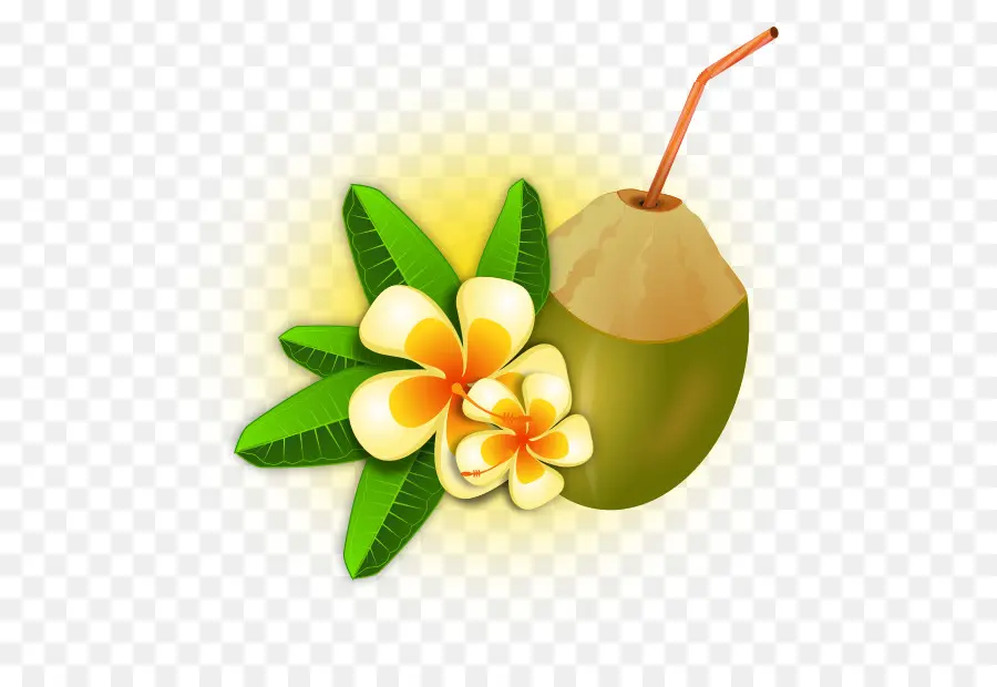 Coco Con Flores，Tropical PNG