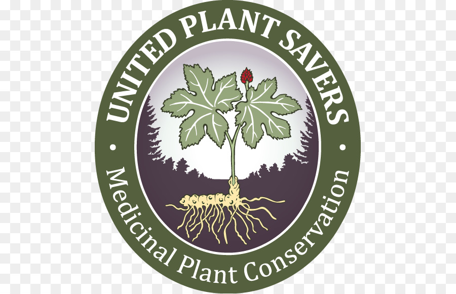 Savers De La Planta Unida，Planta PNG