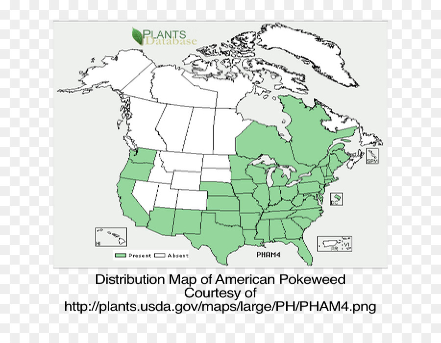 Estados Unidos，Obediente De La Planta PNG