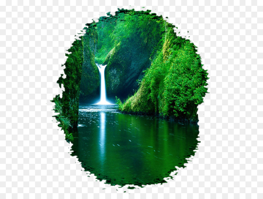 Cascada，Bosque PNG