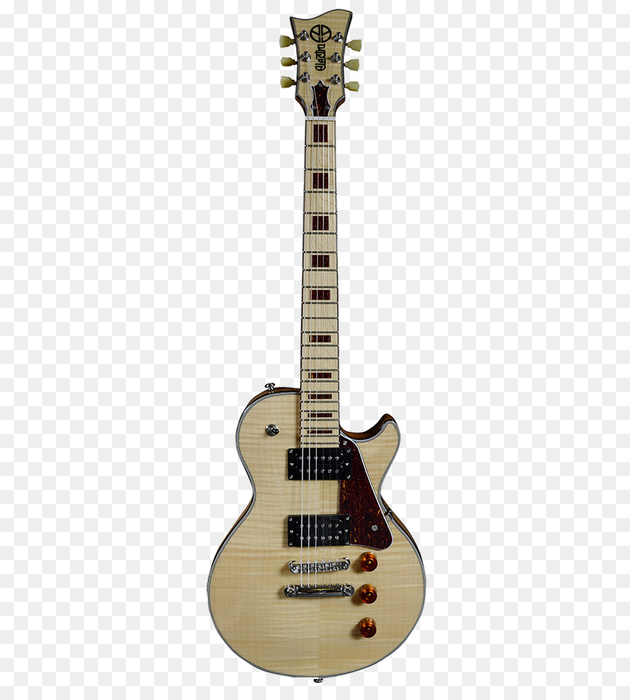 Bajo，Guitarra Eléctrica PNG