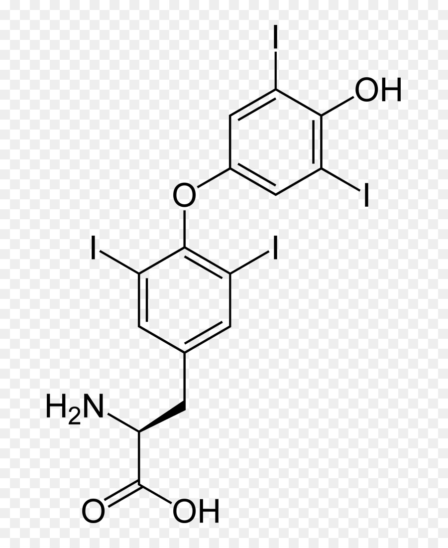 La Levotiroxina，Tiroxina PNG