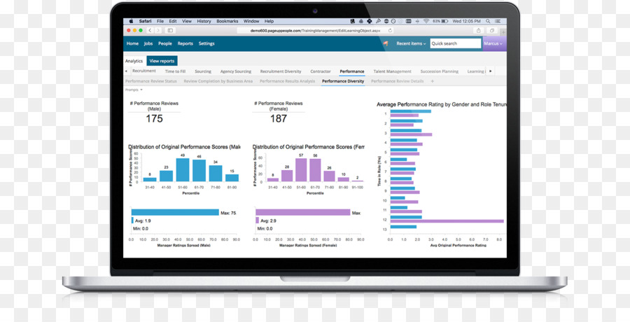 Netezza，Ardilla De Cliente De Sql PNG