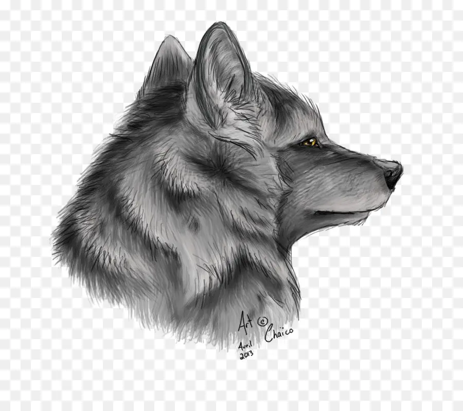 Lobo，Canino PNG