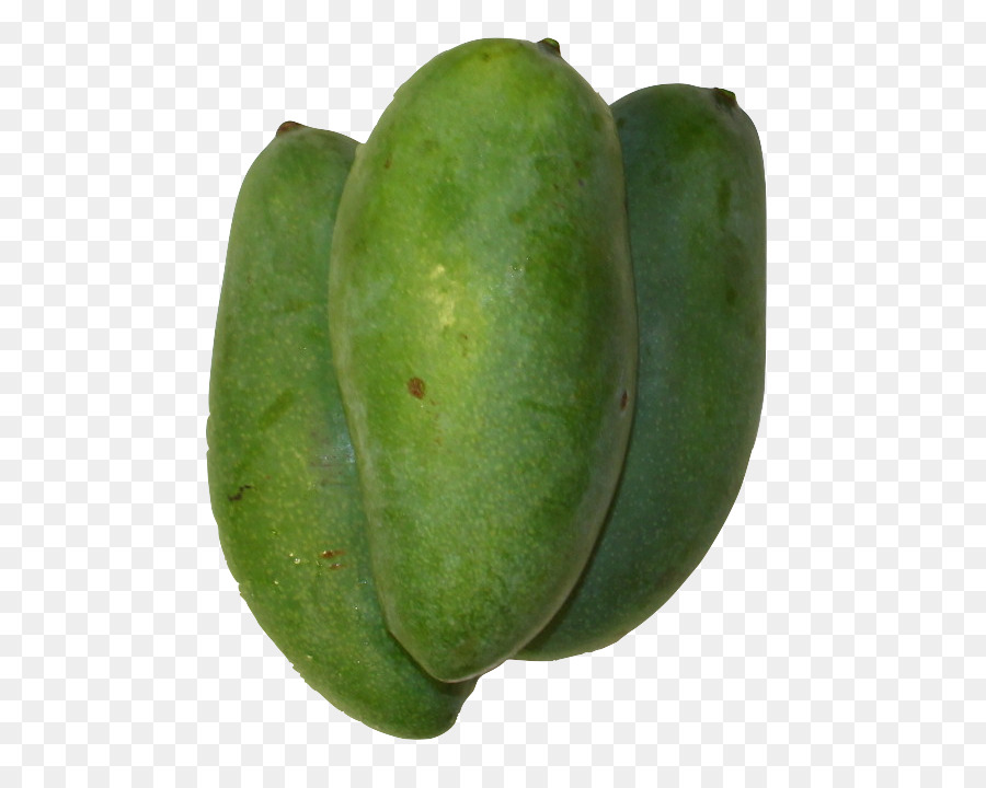 Vegetal，Du PNG