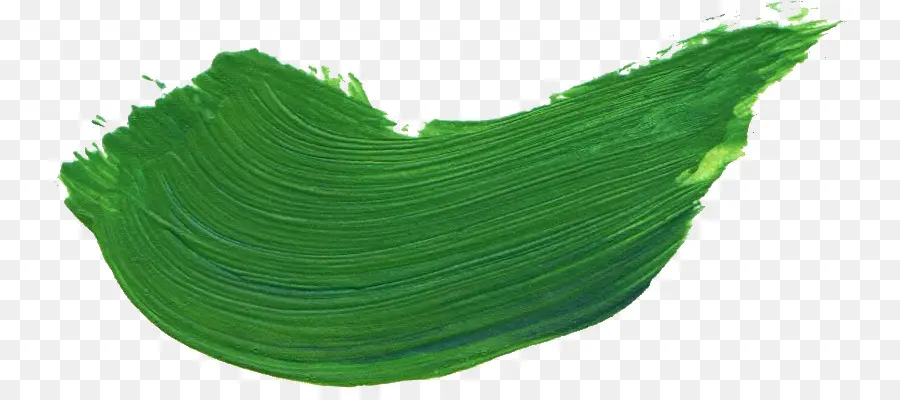 Verde，Brocha PNG