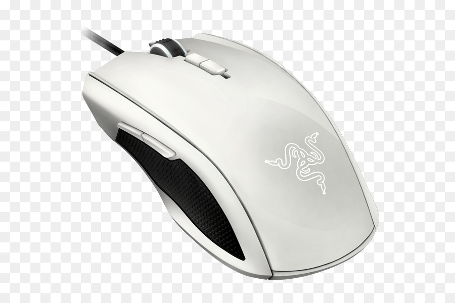 Ratón Blanco，Computadora PNG