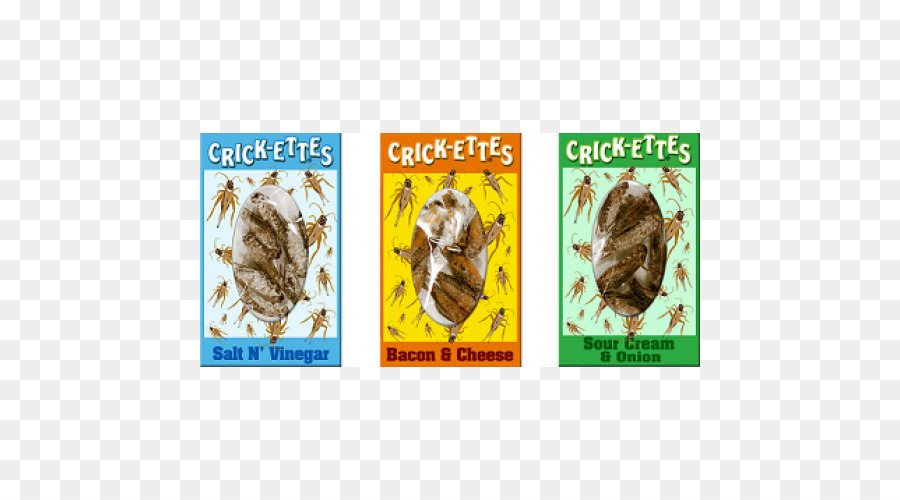 Los Insectos，Cricket PNG