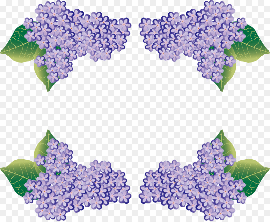 Hortensia Francesa，Temporada De Lluvias Del Este De Asia PNG