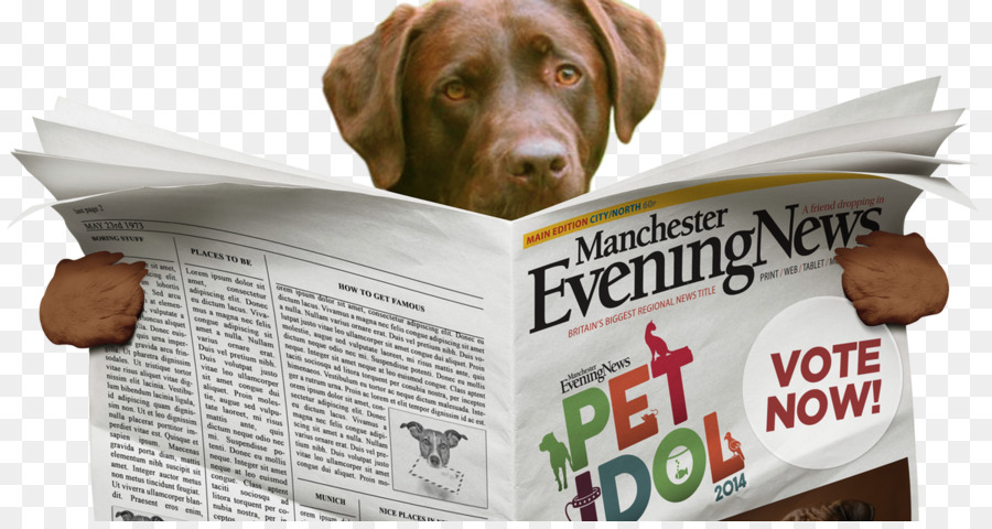 Periódico De Lectura De Perros，Periódico PNG