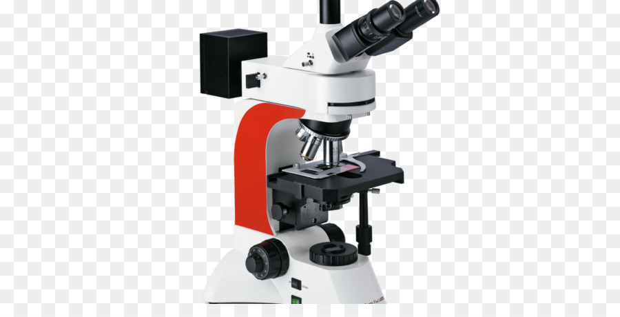 Microscopio，Inmunología PNG