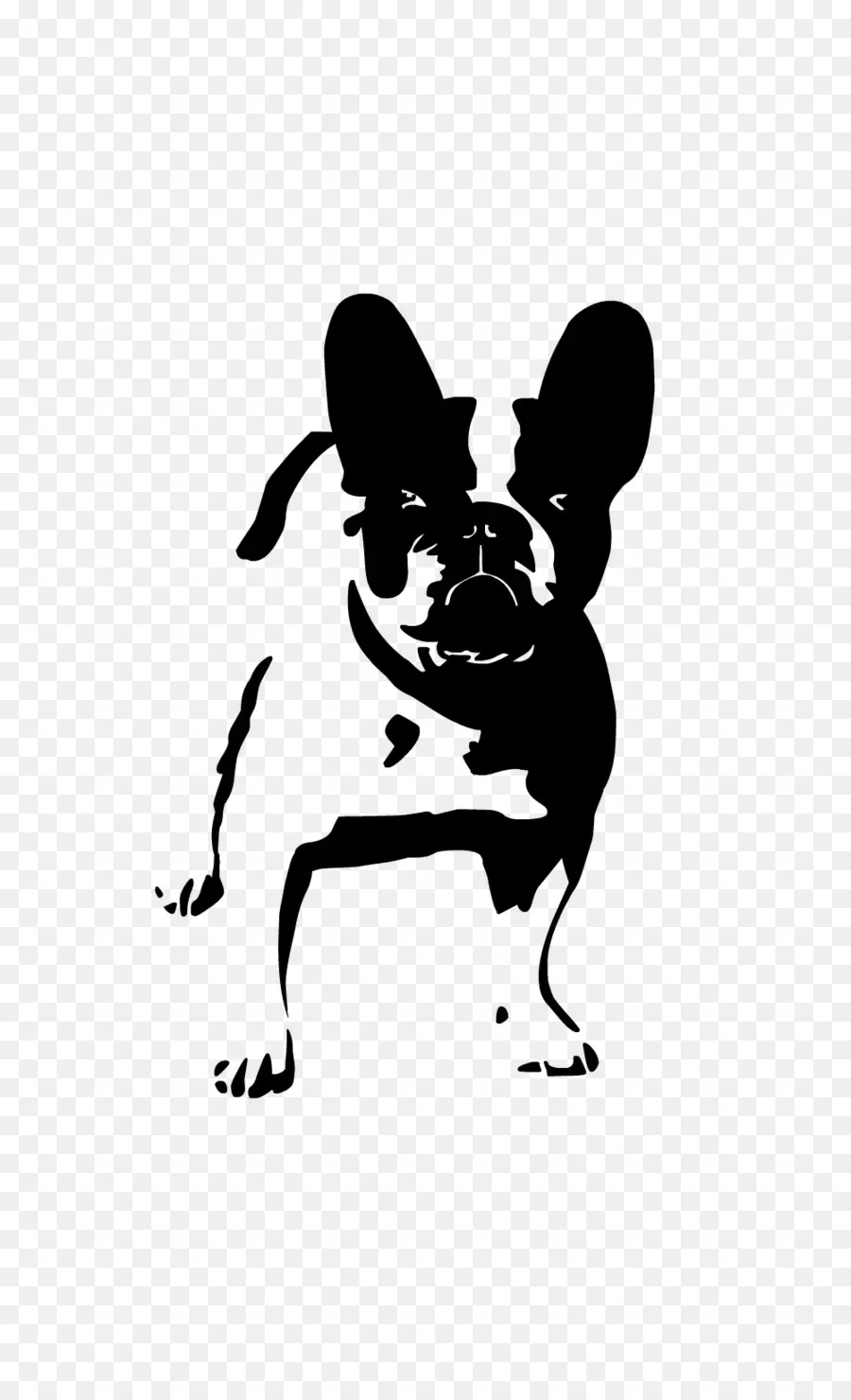 Perro Blanco Y Negro，Mascota PNG