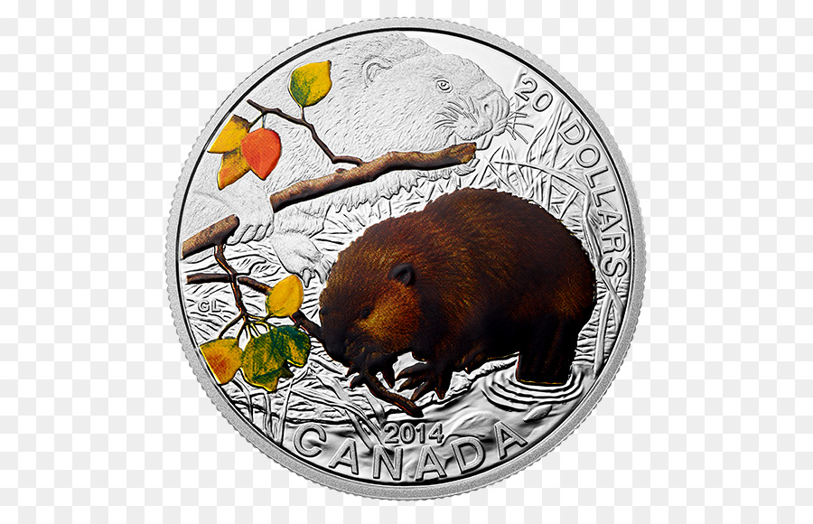 Castor，Moneda PNG