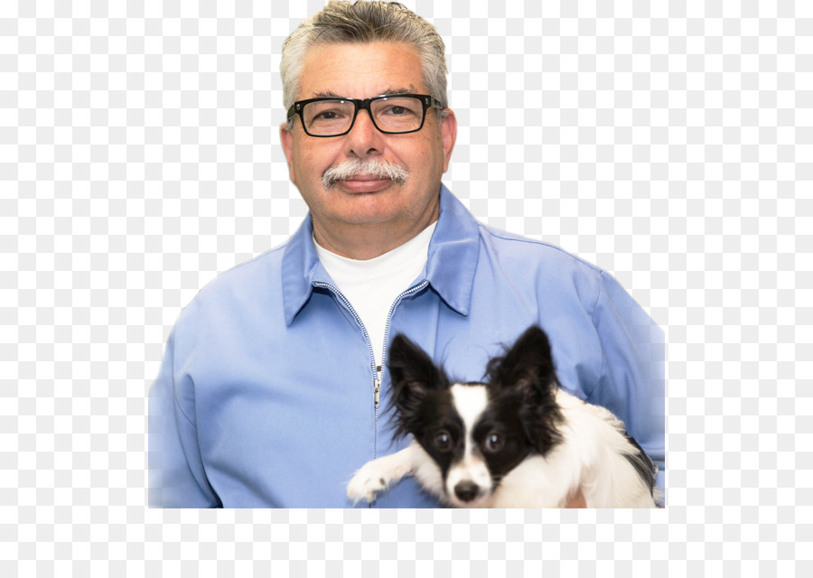 Raza De Perro，Cachorro PNG