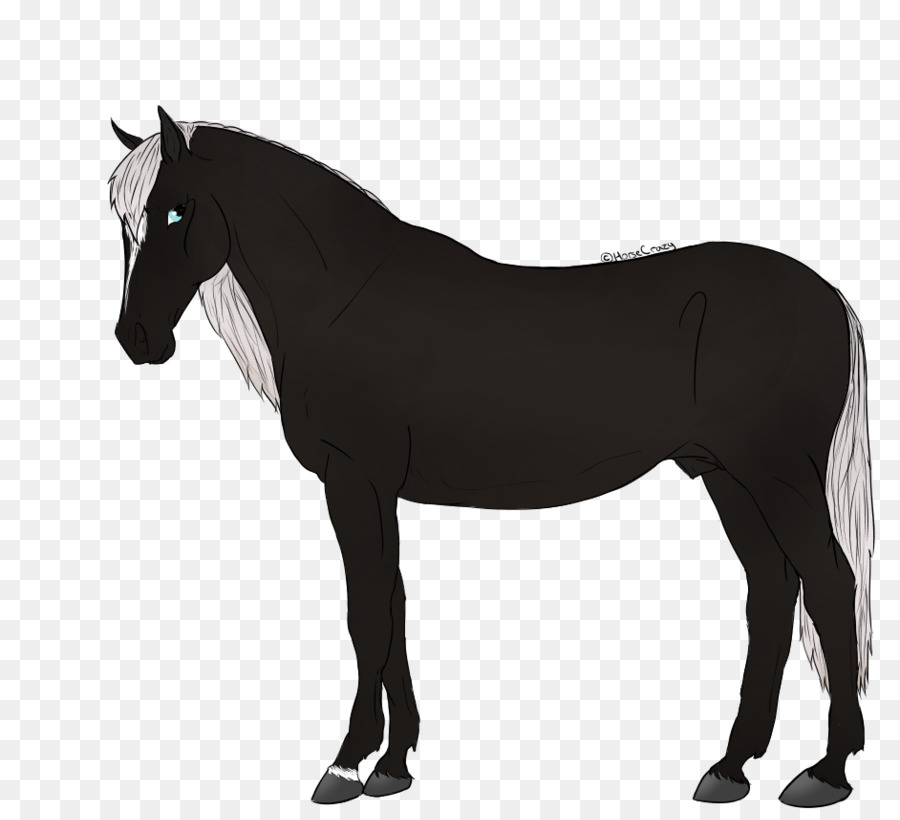 Pura Sangre，Caballos PNG