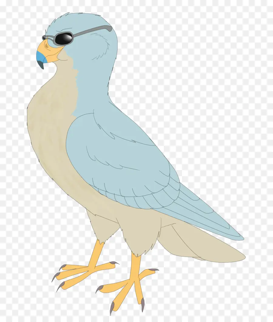 Pájaro Con Gafas De Sol，Frío PNG