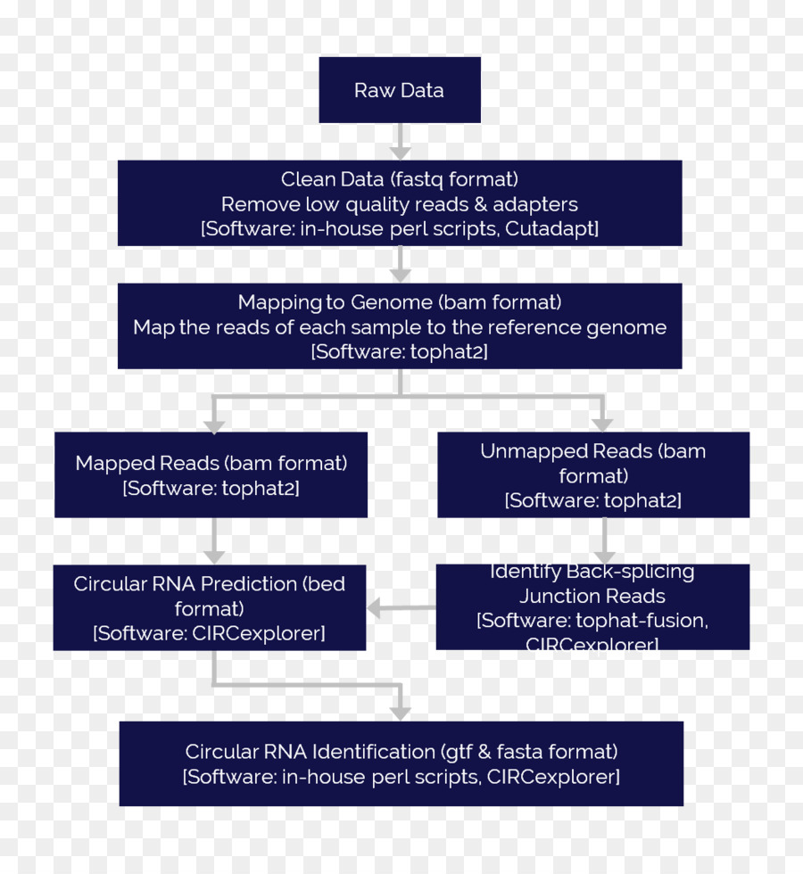 Rnaseq，Transcriptoma PNG