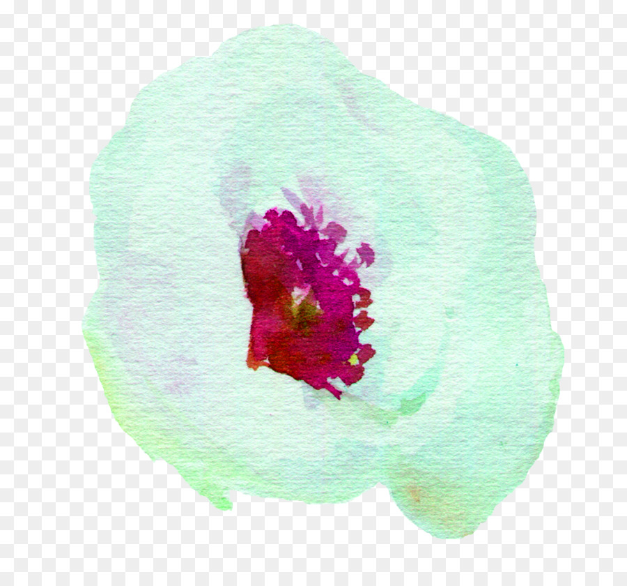 Flor De Acuarela，Cuadro PNG