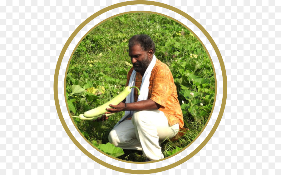 La Agricultura，Yoga PNG