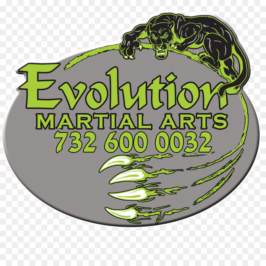 La Evolución De Las Artes Marciales，Las Artes Marciales Mixtas PNG