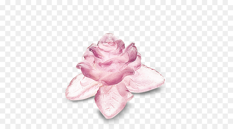 Rosa，Daum PNG