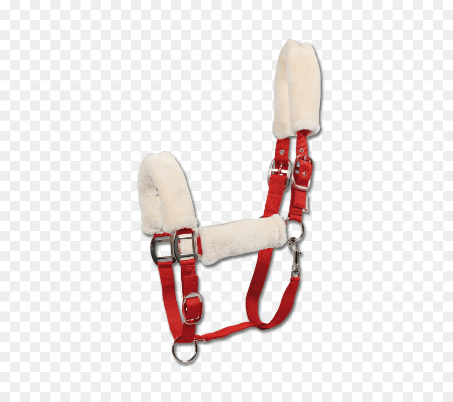 Caballo，Soporte PNG