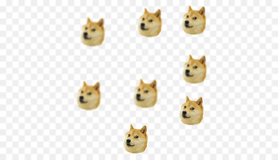 Caras De Dux，Perro PNG