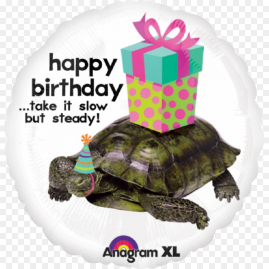 Tortuga，Cumpleaños PNG