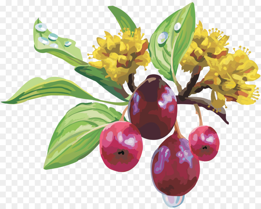 La Fruta，Uva PNG