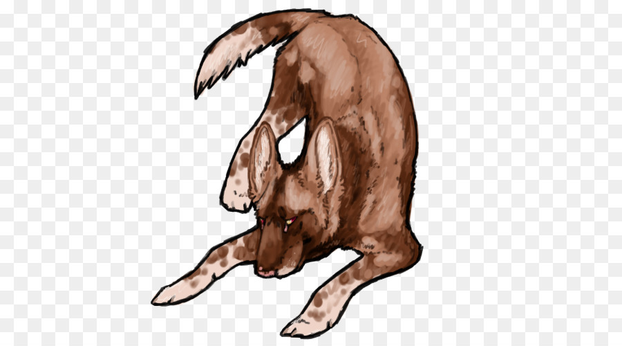 Canidae，Perro PNG