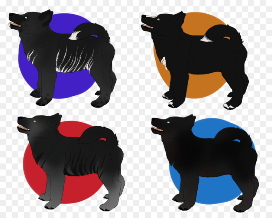 Schipperke，Raza De Perro PNG