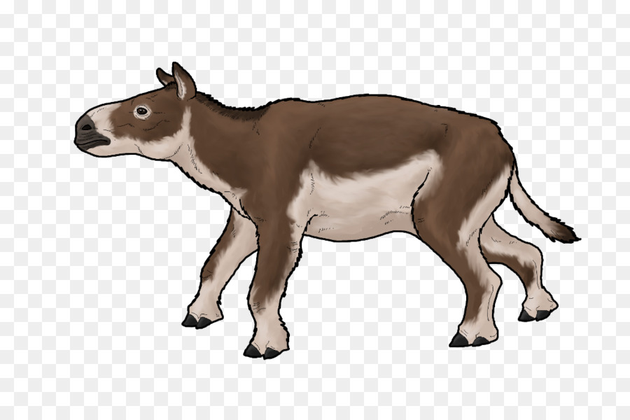 El Ganado，Eurohippus PNG