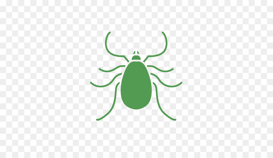 Los Insectos，Verde PNG