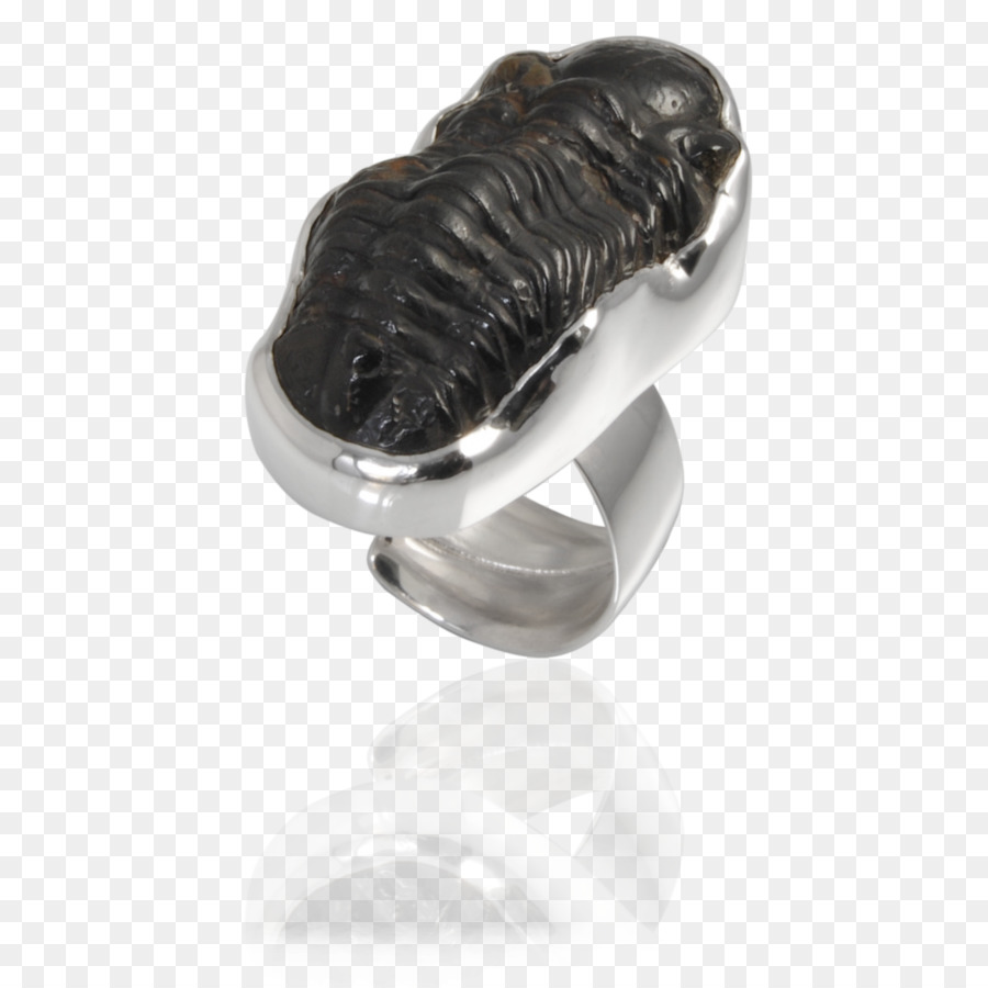 Anillo，Pendiente PNG