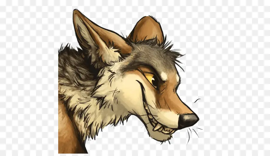 Perro，Coyote PNG