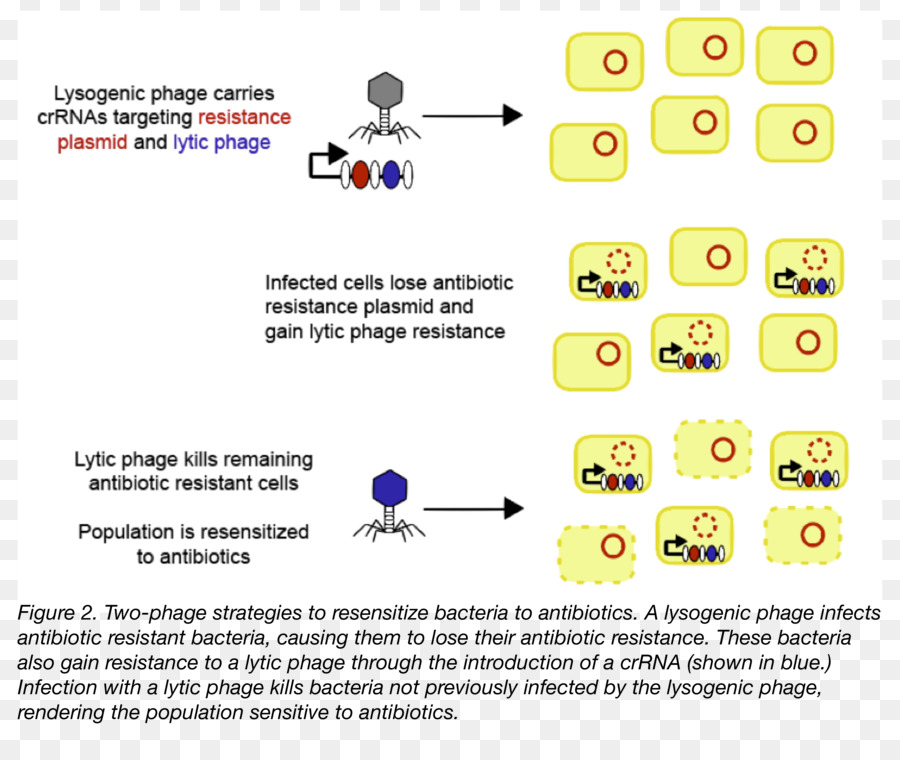 La Tecnología，Emoticono PNG