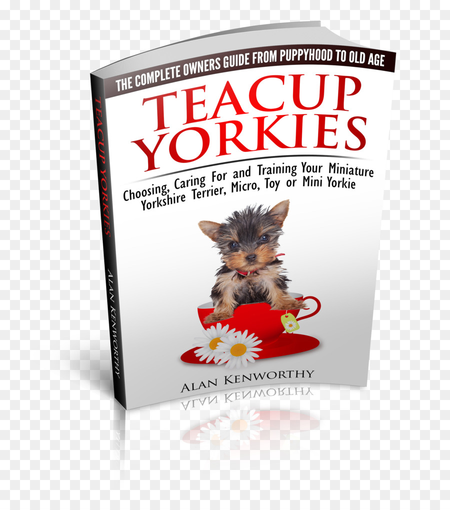 Yorkshire Terrier，Cachorro PNG