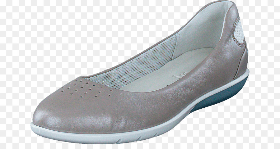 Zapato，Ecco PNG