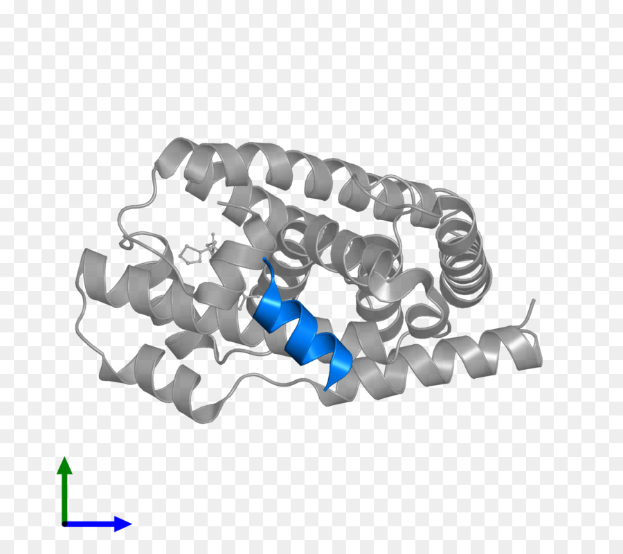 Farnesoid X Receptor，Pregnano X PNG